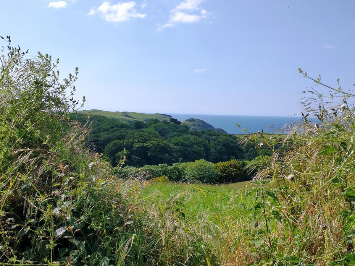 The Mill Villa Tintagel Eksteriør bilde